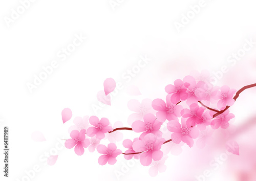Cherry Blossom Branch Vector #64117989