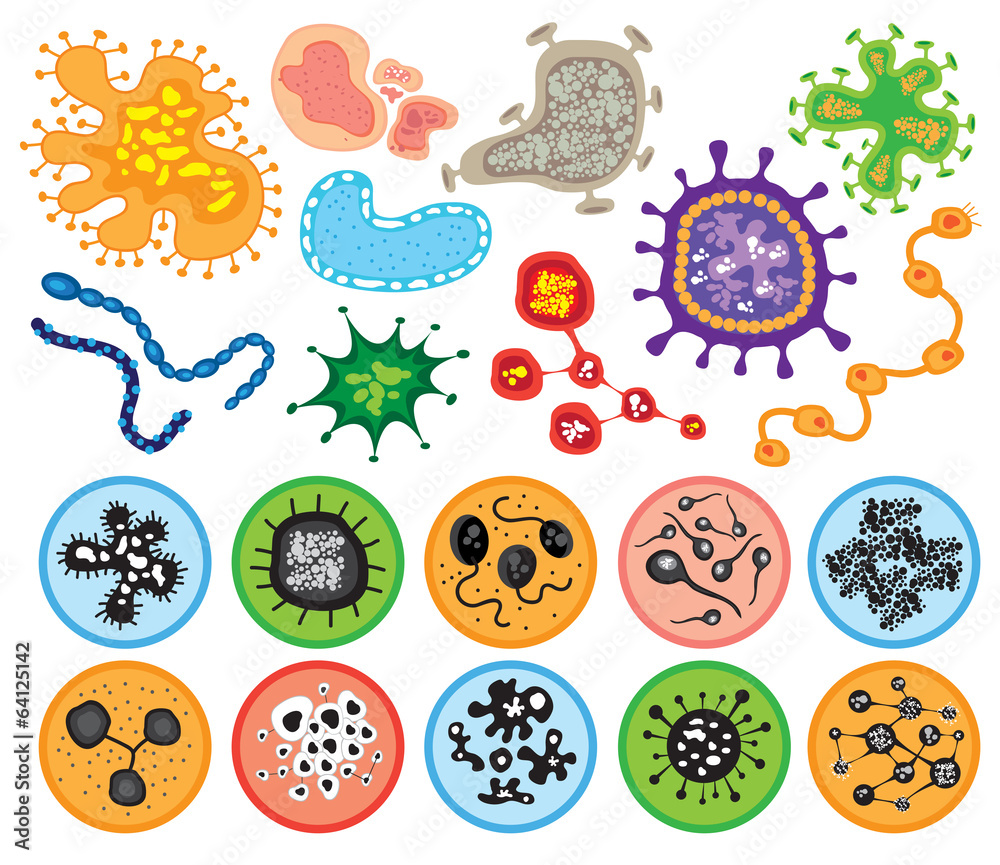 bacteria and virus cells isolated. Vector Illustration. bacteria and virus cells isolated. Vector Illustration.
