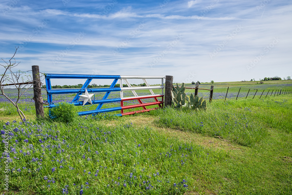 Naklejka premium Texas bluebonnet field and a fence with gate in spring