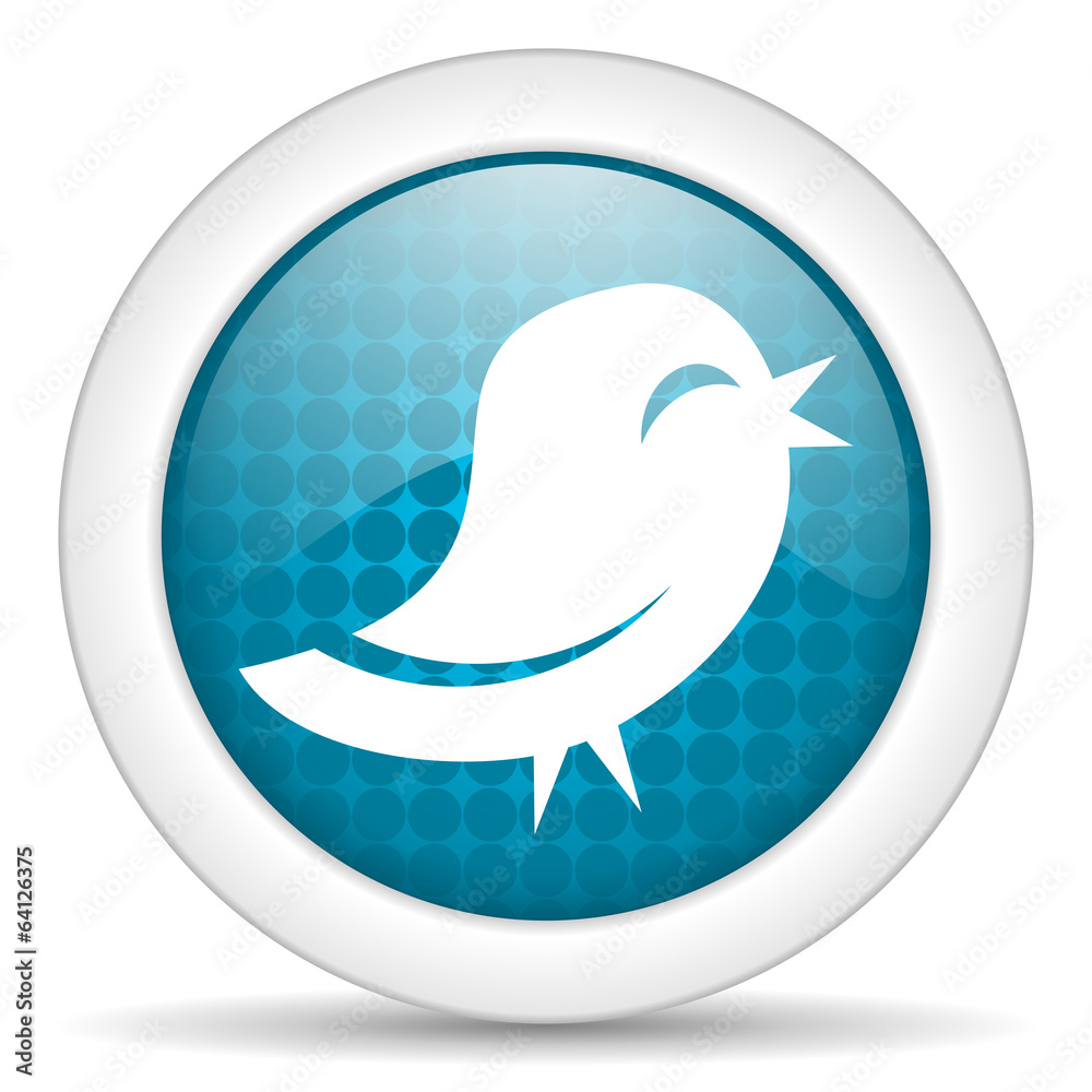 bird icon bird icon