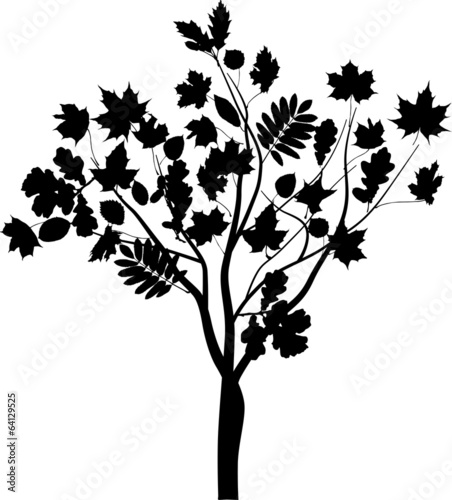 black abstract tree with large leaves