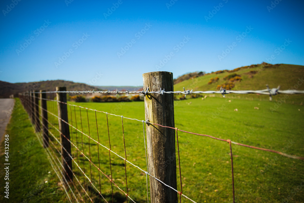 Fence in the country