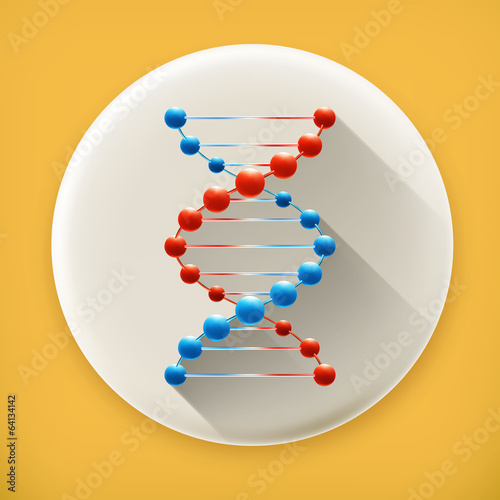Deoxyribonucleic acid, long shadow vector icon