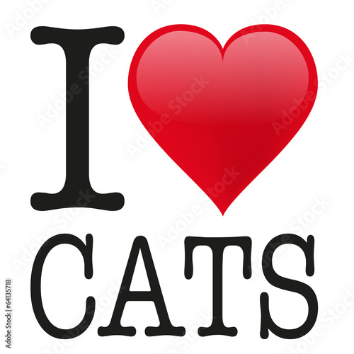 I love Cats
