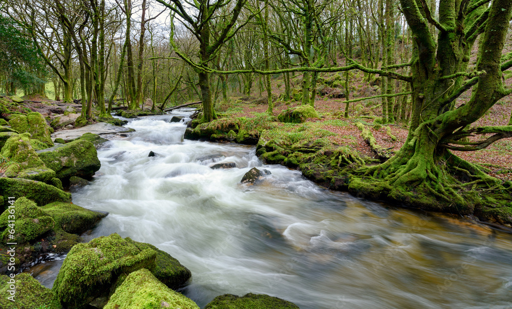 Obraz premium Golitha Falls