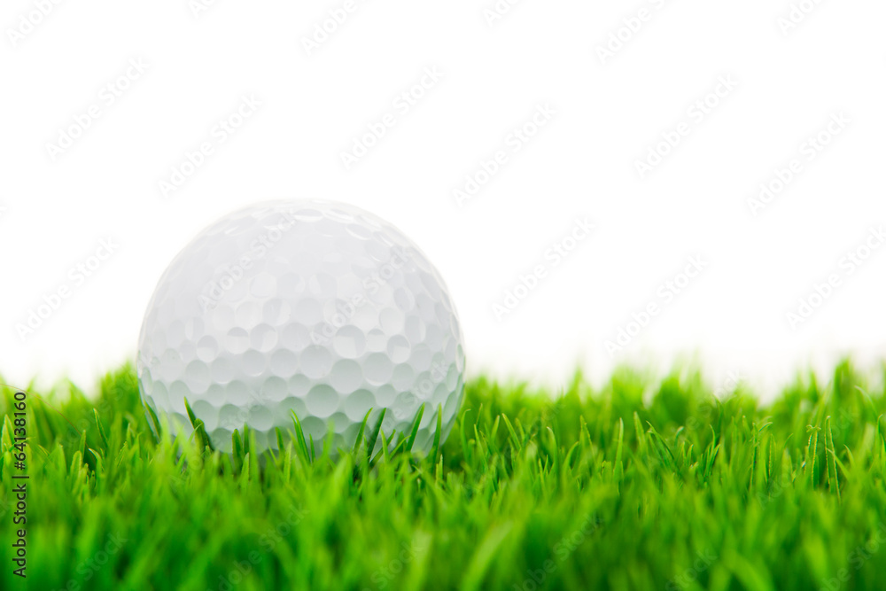 Fototapeta piłka golfowa leży na zielono