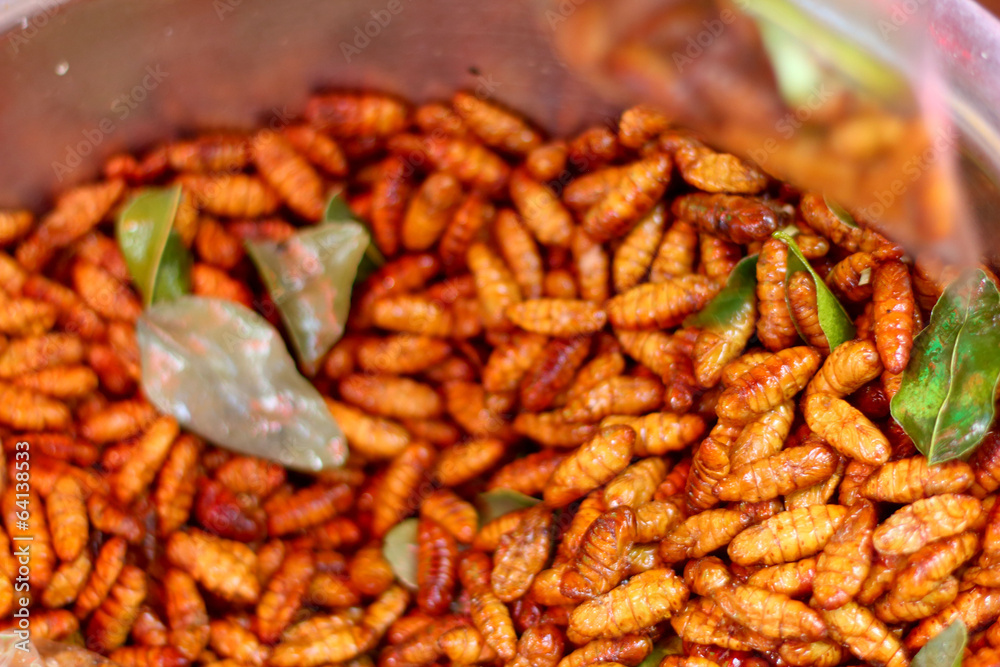 fried silk worms in the market fried silk worms in the market