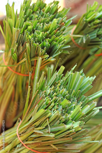 Close up of lemon grass
