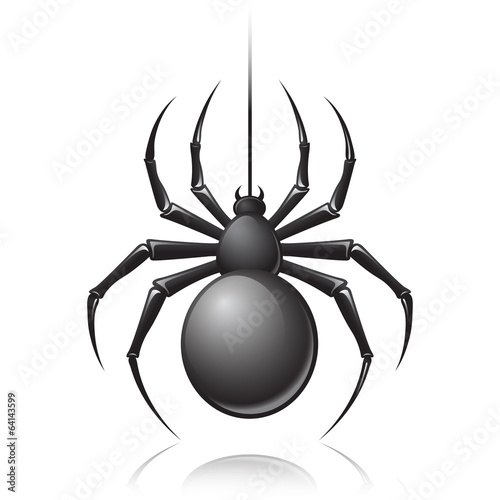 Black spider emblem
