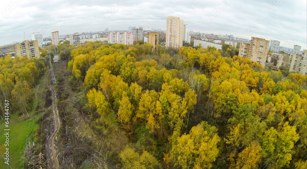 Power lines among trees with colorful foliage in park