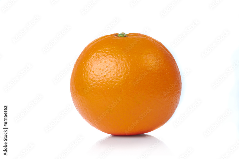 Fresh Orange Fresh Orange