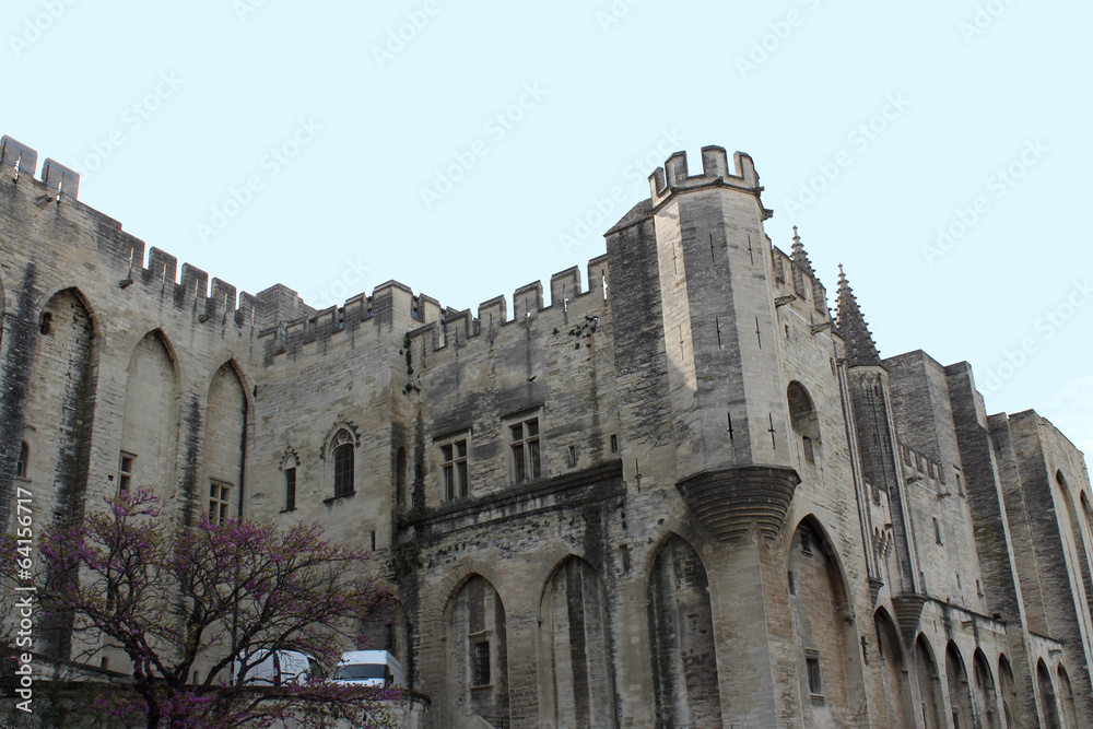 Palace of the popes (Palais des Papes) in Avignon