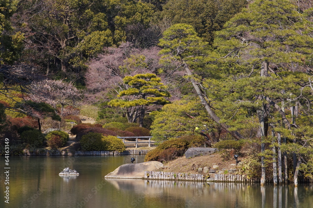 view of natural japanese garden in spring season