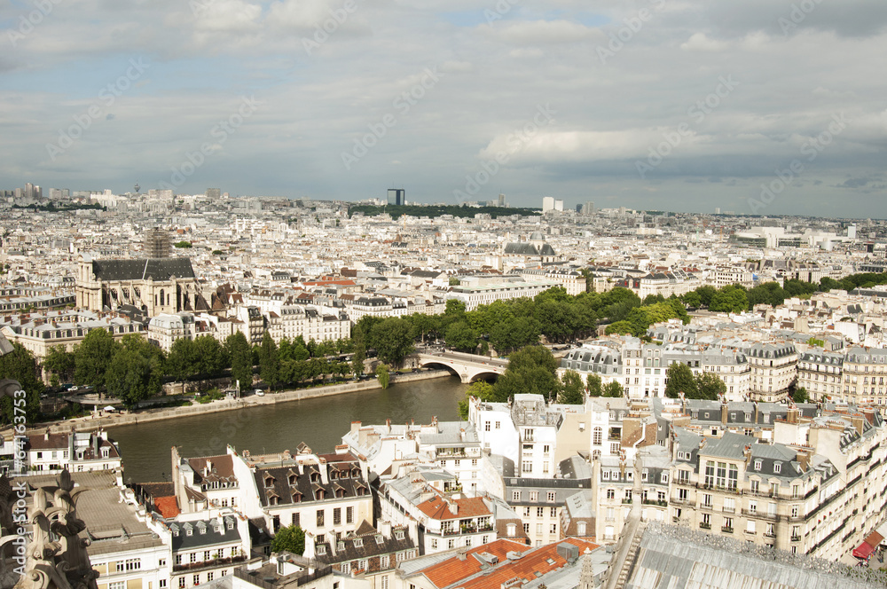 View from Notre- Drame Cathedral, Paris