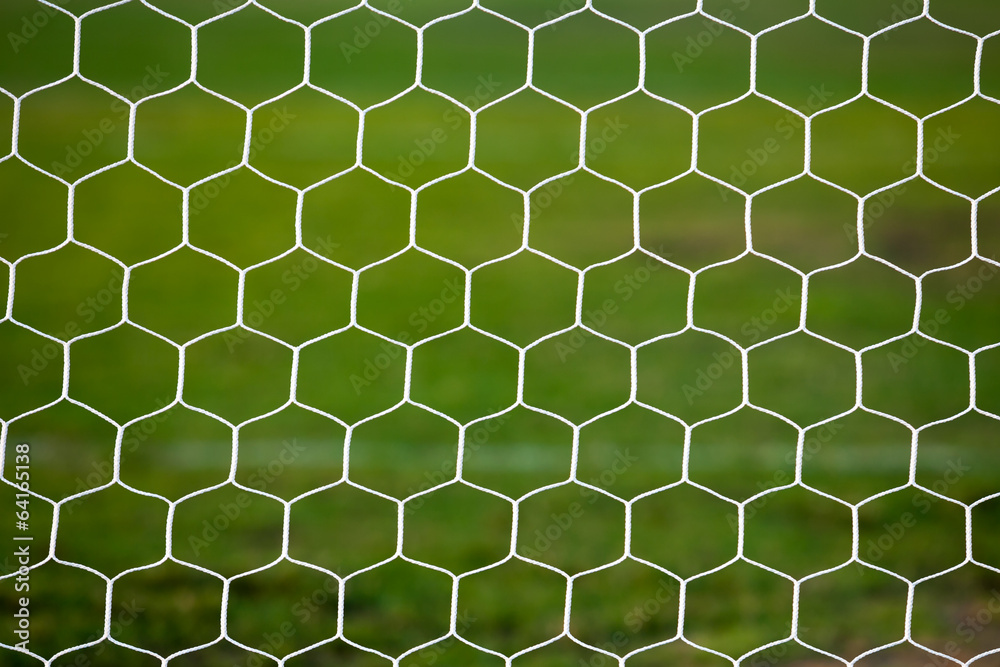 Soccer goal net
