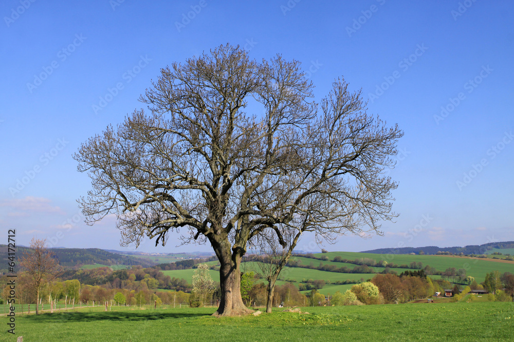 Frühlingshafte Landschaft im westlichen Erzgebirge Frühlingshafte Landschaft im westlichen Erzgebirge