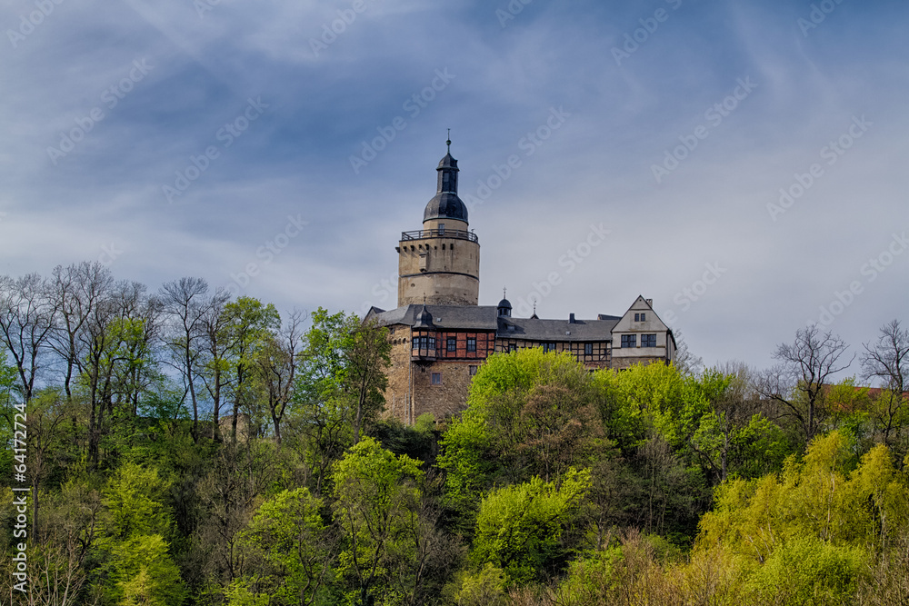 Blick aus dem Selketal auf die Burg Falkenstein Harz