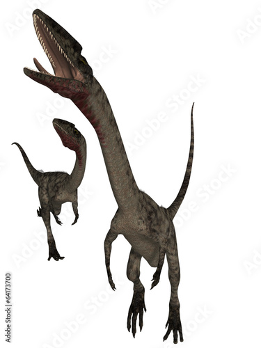 Coelophysis - 3D Dinosaur photo