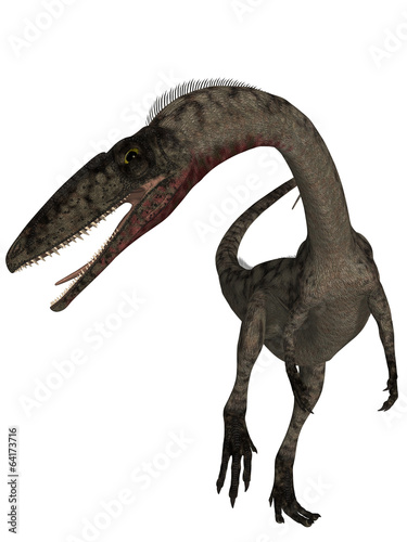 Coelophysis - 3D Dinosaur © Andreas Meyer