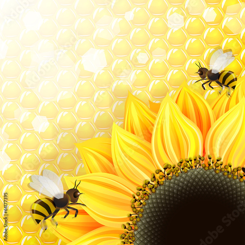 Fototapeta Naklejka Na Ścianę i Meble -  Sunflowers and bees over honeycombs background
