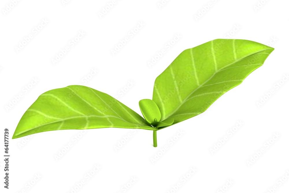 Obraz premium realistic 3d render of salad