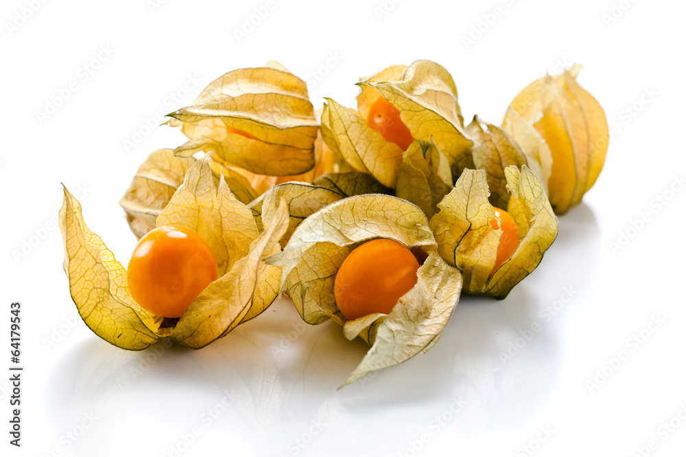 Physalis Physalis