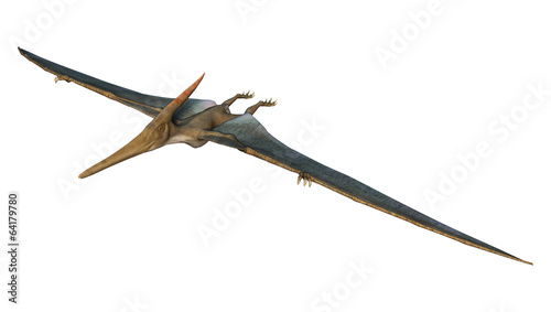 Pteranodon © photosvac