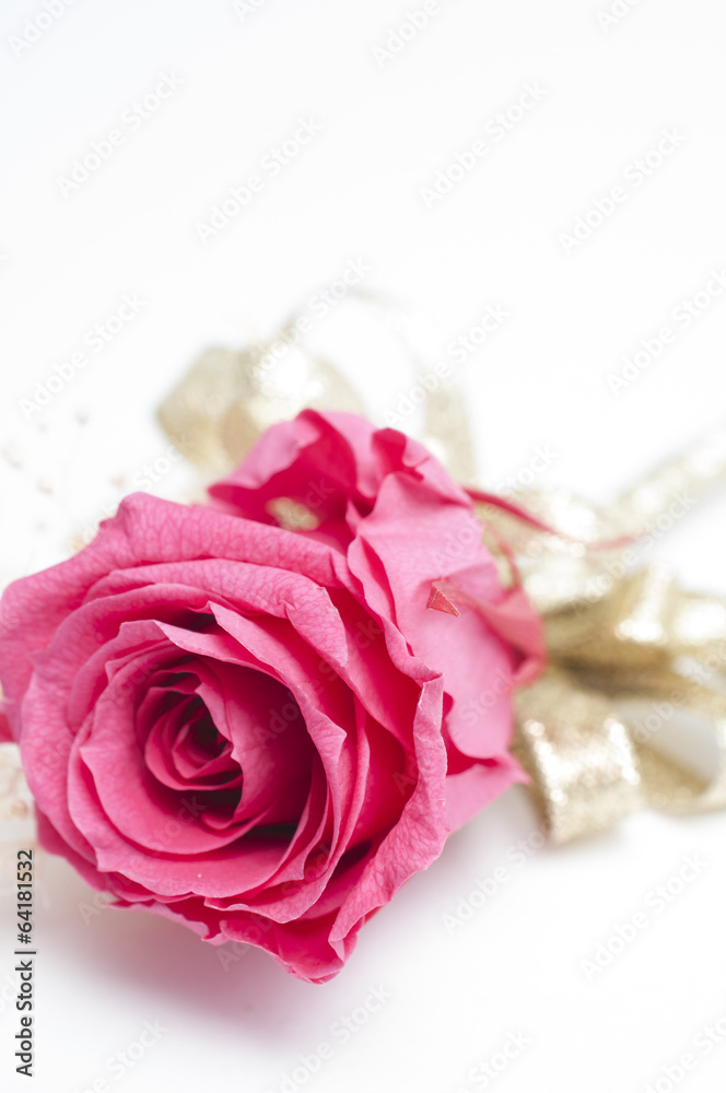 Fototapeta premium Boutonniere