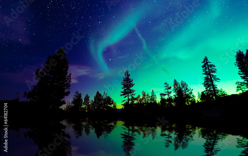 Fototapeta Northern lights aurora borealis in the night sky