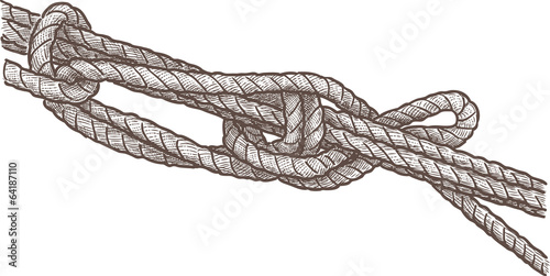 marine knot