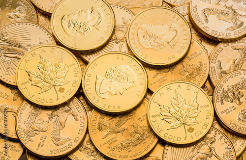 Canvas Print Collection of one ounce gold coins