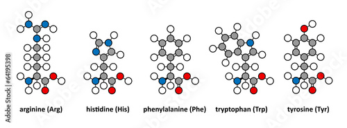 Arginine, histidine, phenylalanine, tryptophan and tyrosine photo