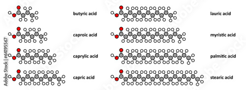 Saturated fatty acids: butyric, caproic, caprylic, capric, etc