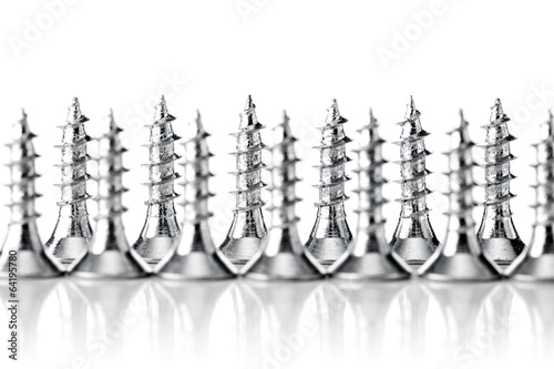 group of screws photo