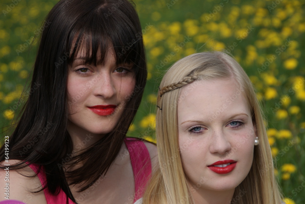 Obraz premium Schwestern, Freundinnen, Mädchen, junge Frauen, Freundschaft