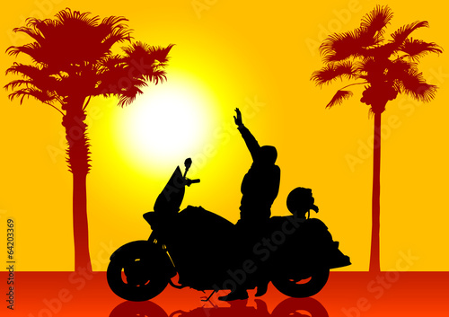 Bike and palms