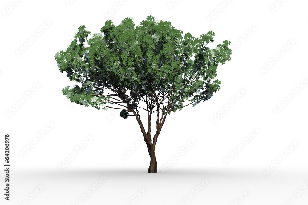 Tree with green leaves growing