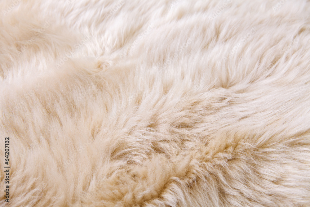 close up texture of fur carpet for background close up texture of fur carpet for background