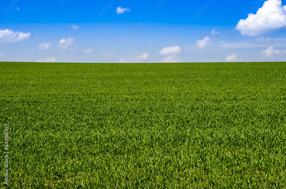 Green Field Green Field