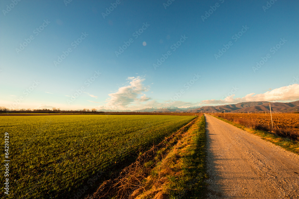 evening in the fields of Friuli