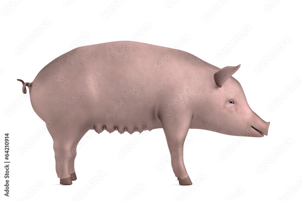 realistic 3d render of pig realistic 3d render of pig
