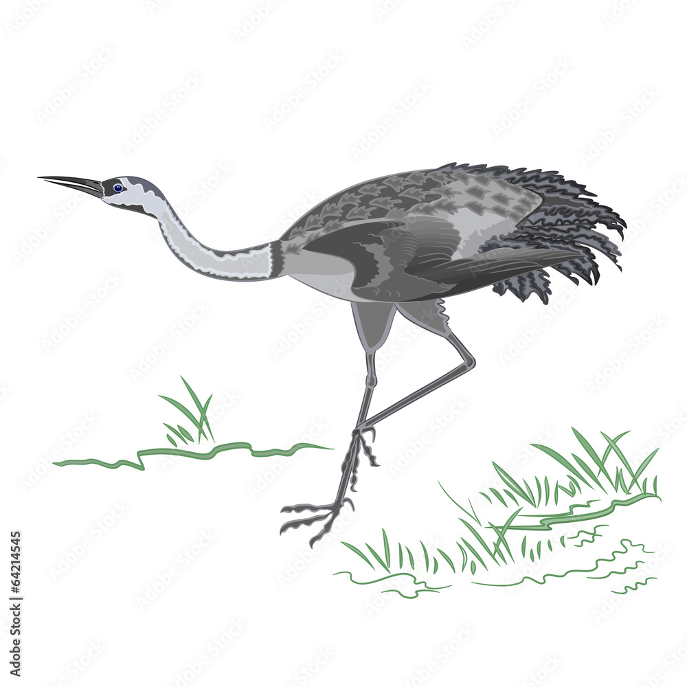 Obraz premium Dancing crane