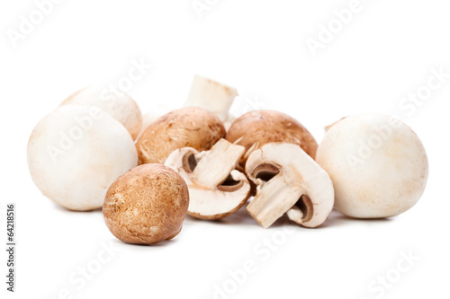 mushroom on white