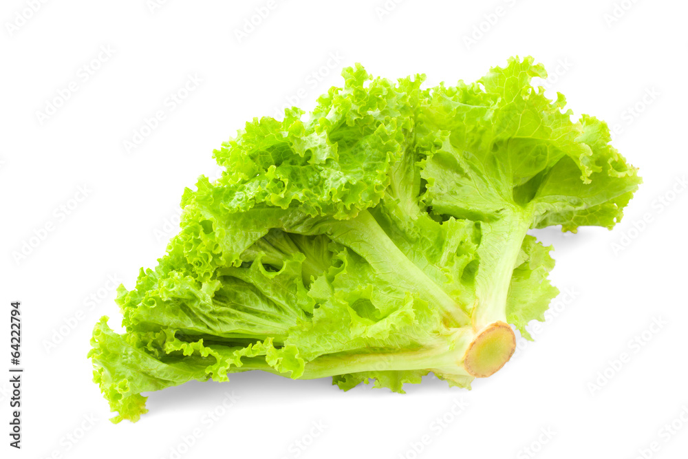 green iceberg lettuce salad leaves green iceberg lettuce salad leaves