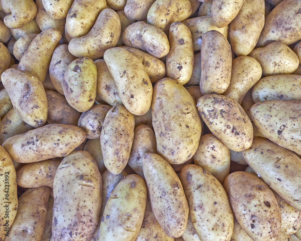 raw organic potatoes for sale, natural background raw organic potatoes for sale, natural background
