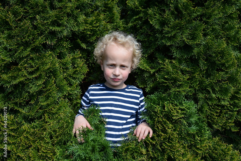 Kleiner Junge in einem Busch Kleiner Junge in einem Busch