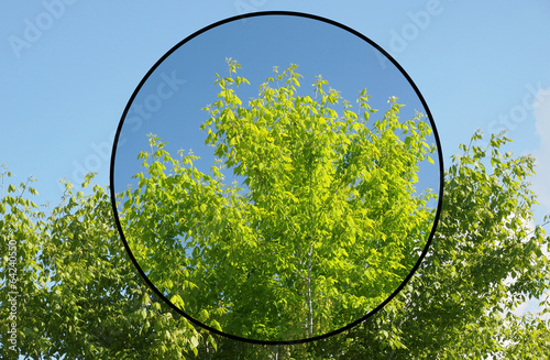 Quadro em tela Polarising filter