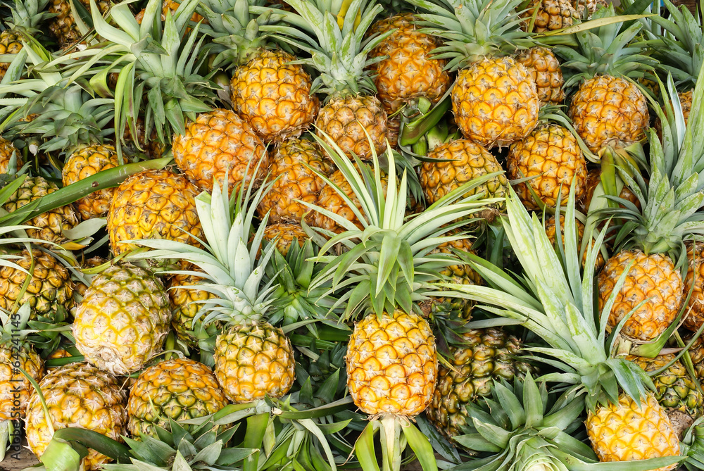pineapple tropical fruit - obrazy, fototapety, plakaty 