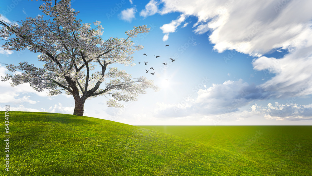 Trees in a meadow