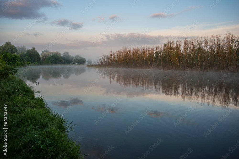 summer morning and the river